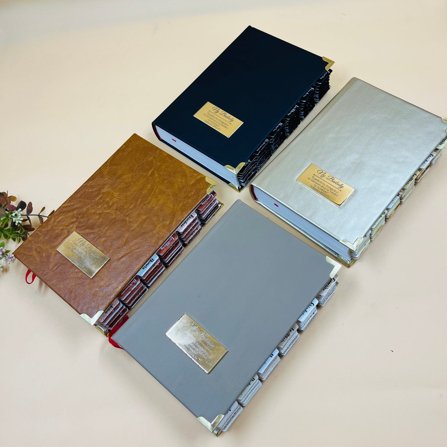 Volamena Model Bible