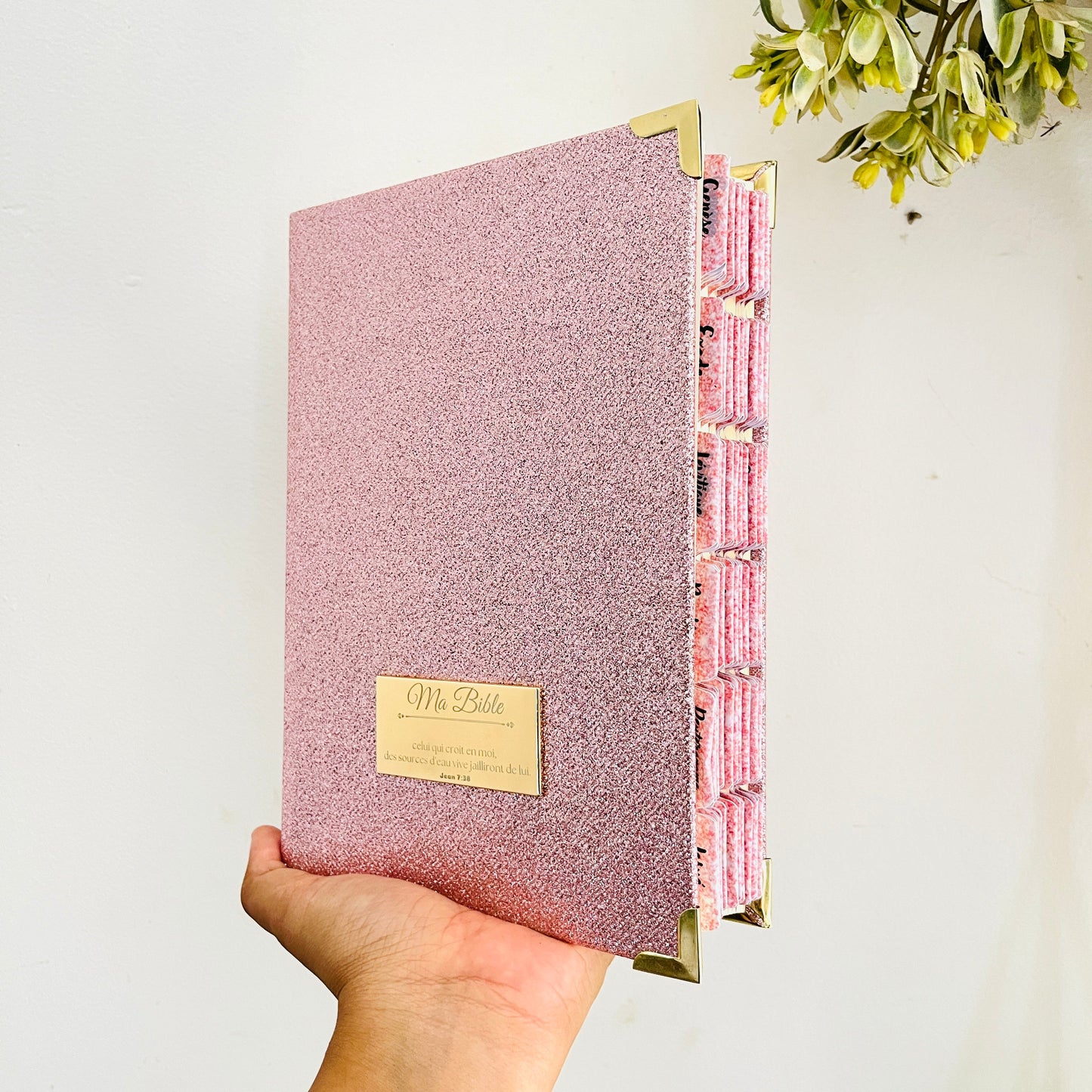 Volamena Model Bible