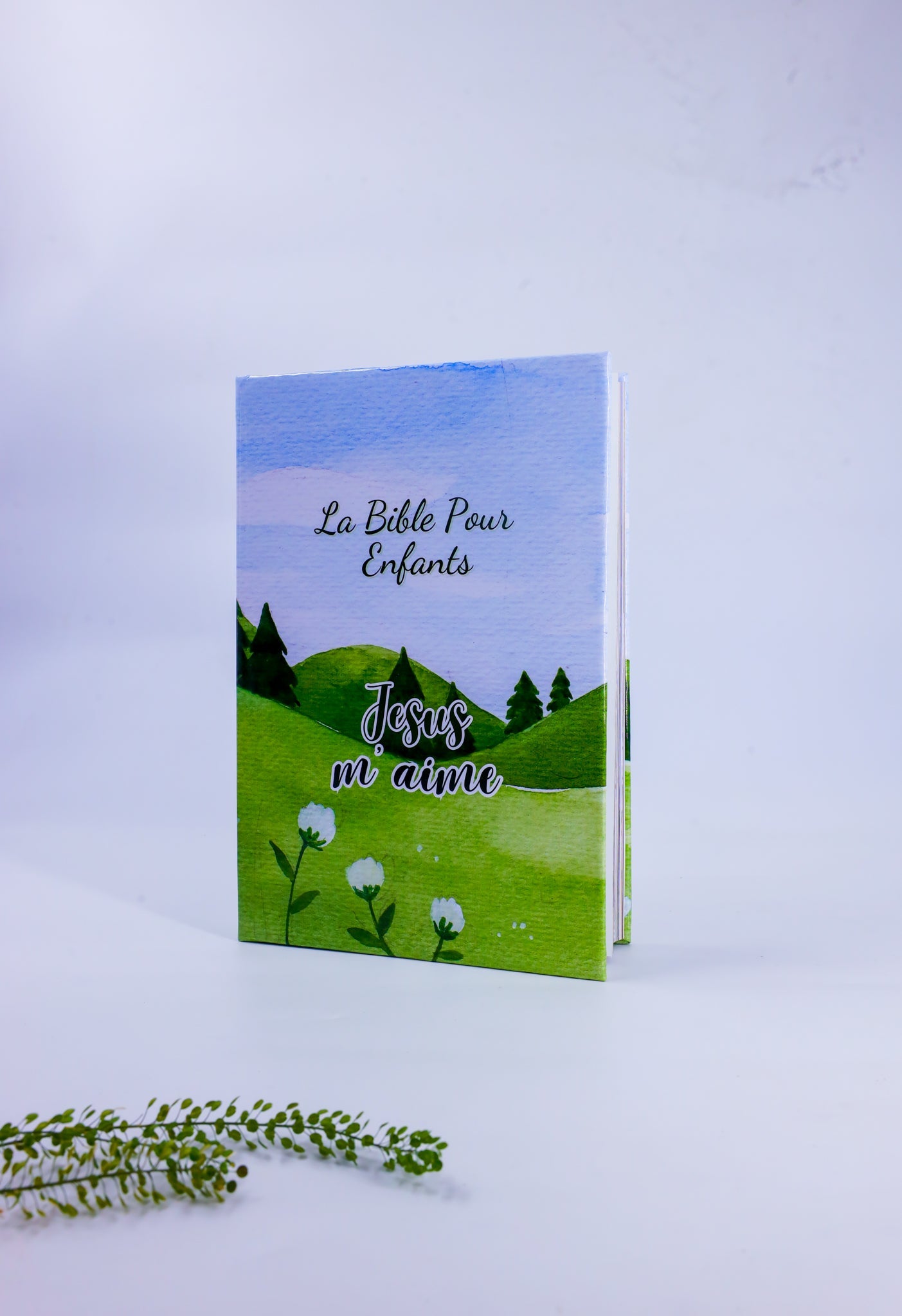 Personalized Children's Bible (ages 5-15)