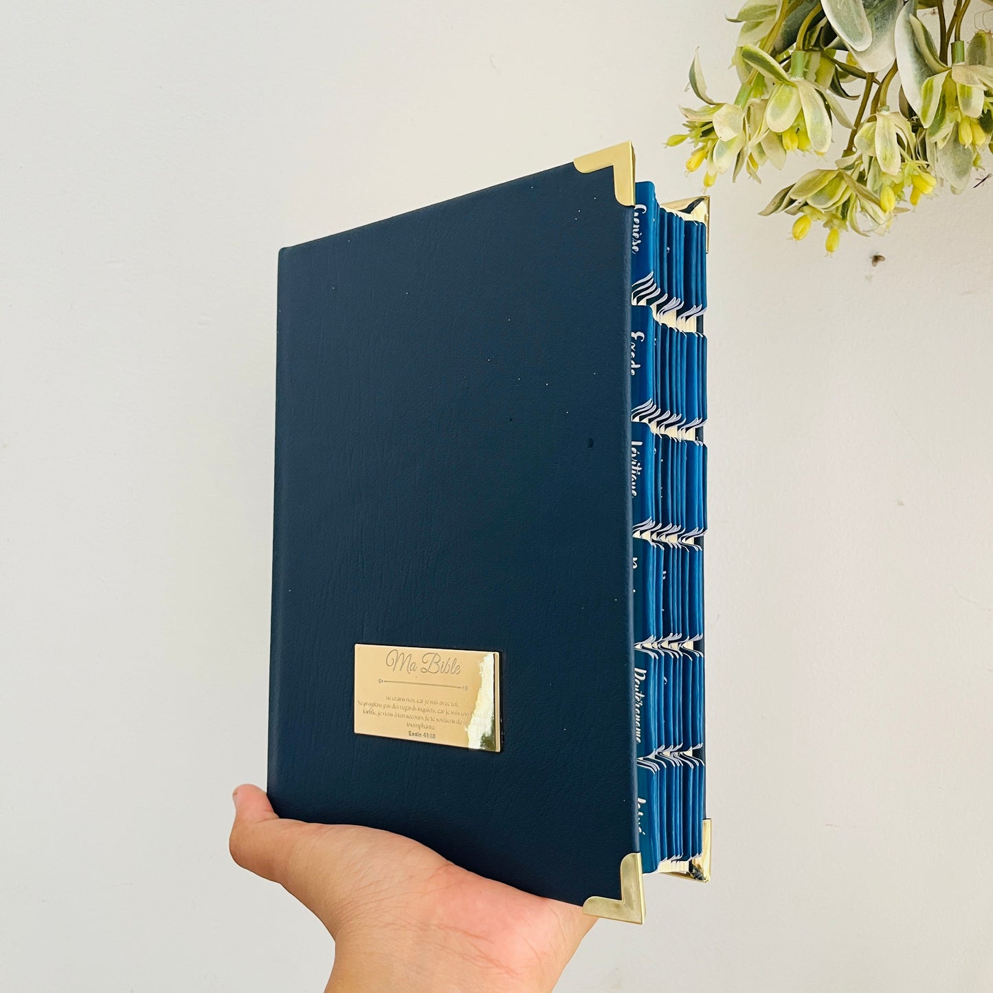 Volamena Model Bible