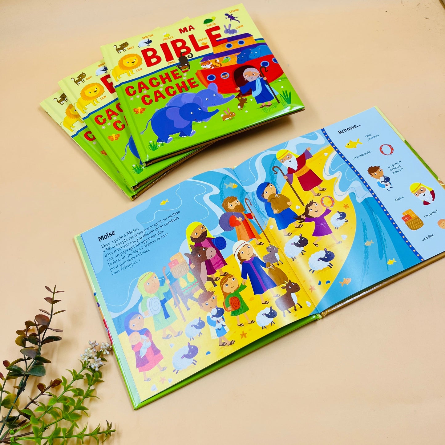 My Hide-and-Seek Bible