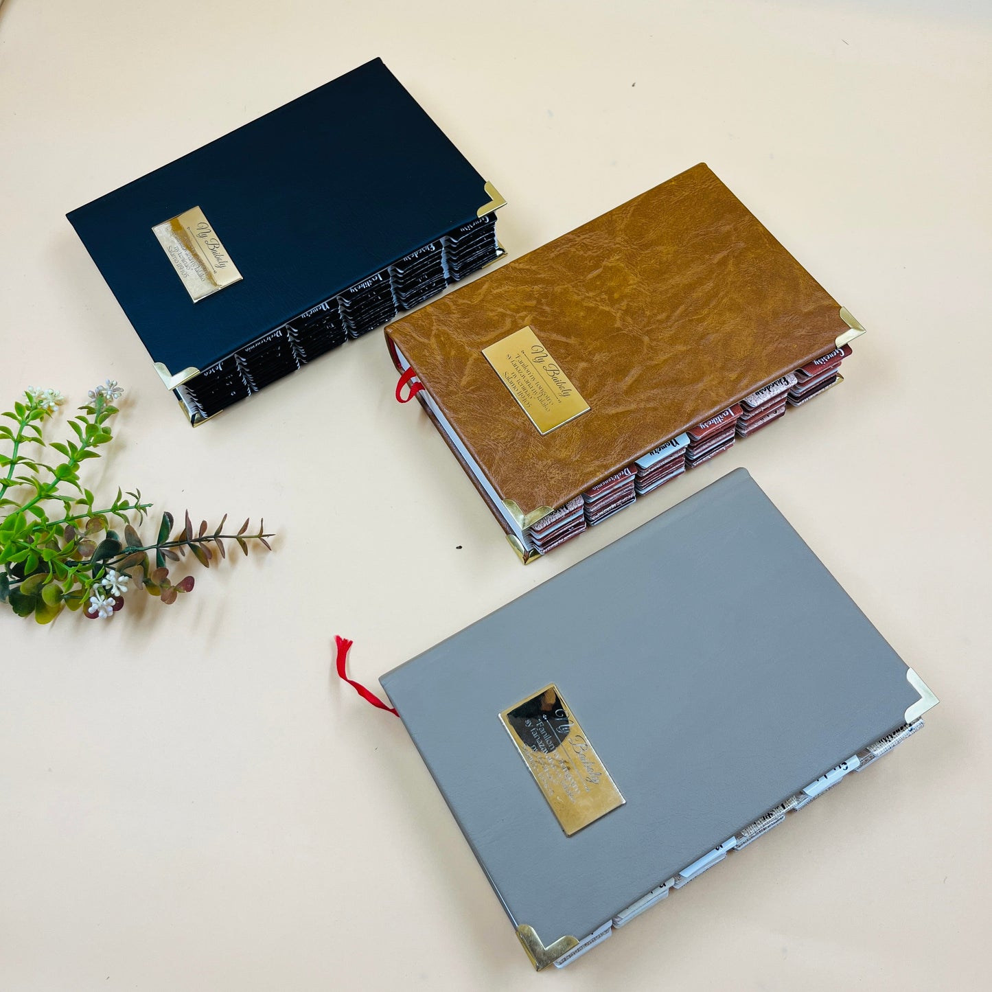 Volamena Model Bible