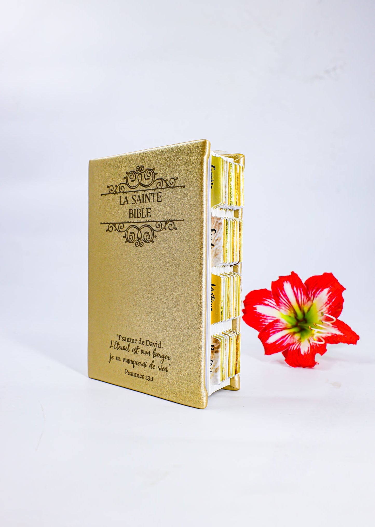 Imitation Leather Bible