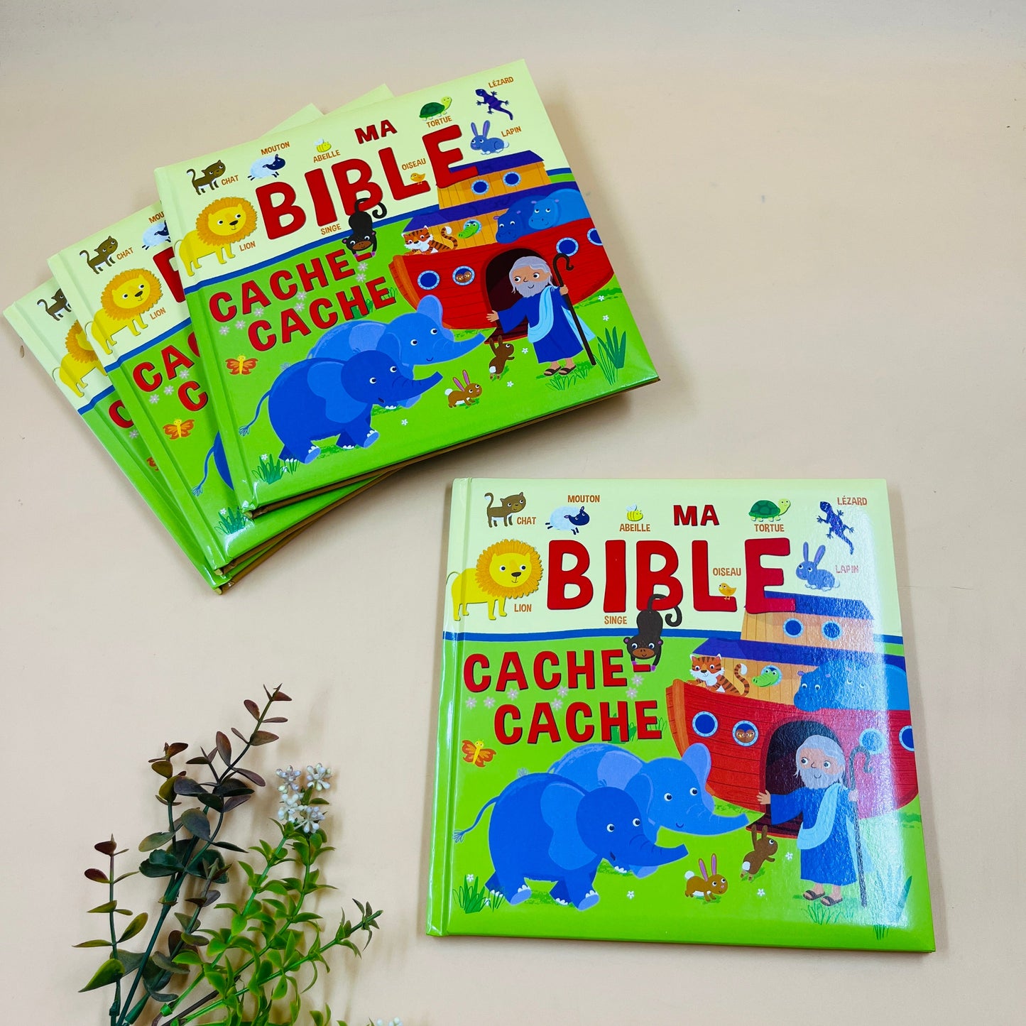 My Hide-and-Seek Bible
