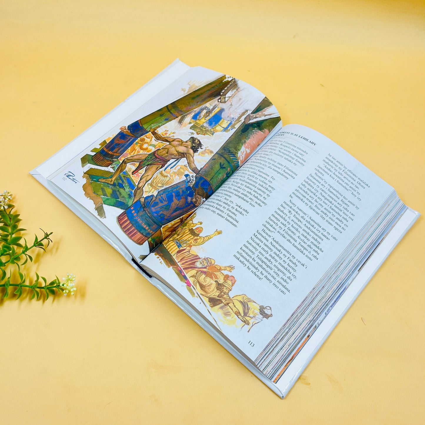 Personalized Children's Bible (ages 5-15)