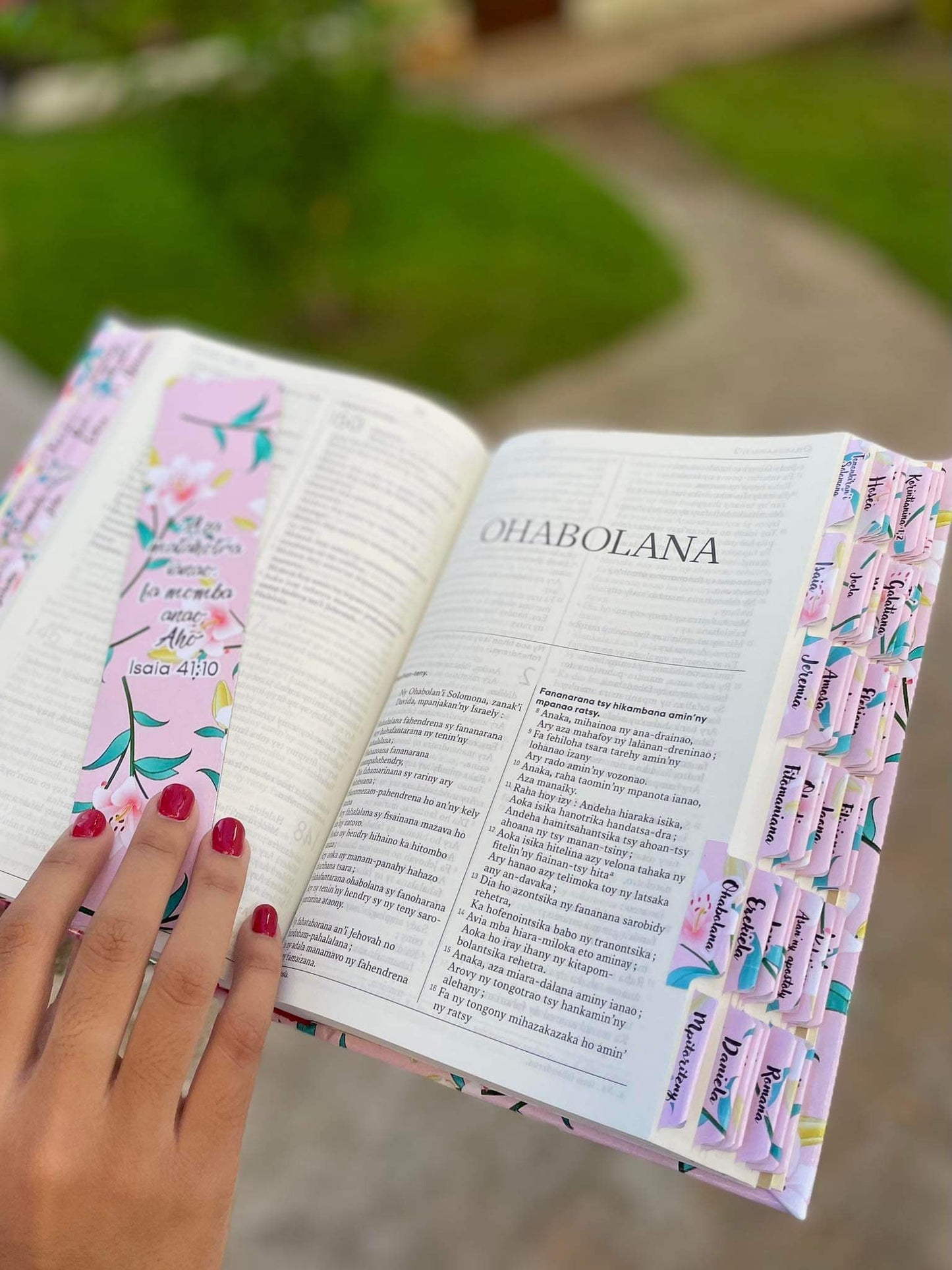 Neny Model Bible