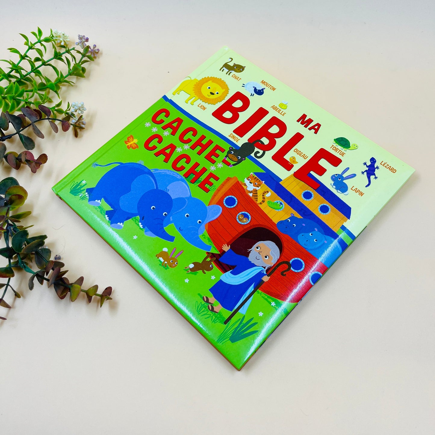 My Hide-and-Seek Bible
