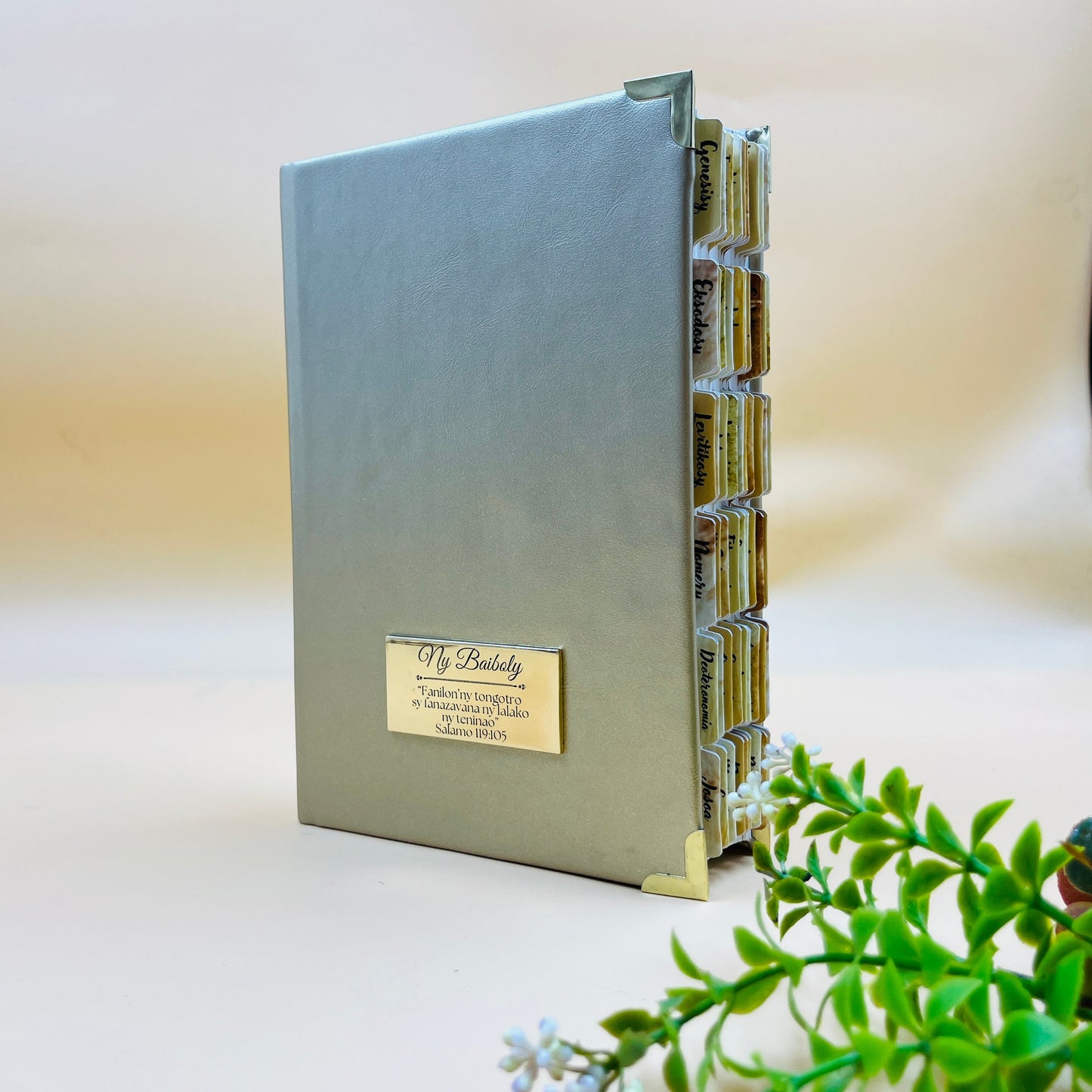 Volamena Model Bible