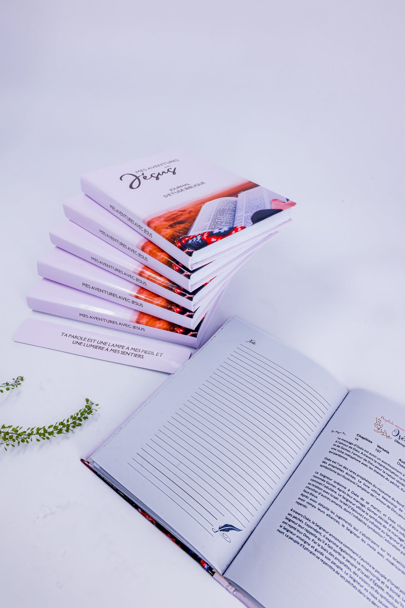 Bible Study Journal