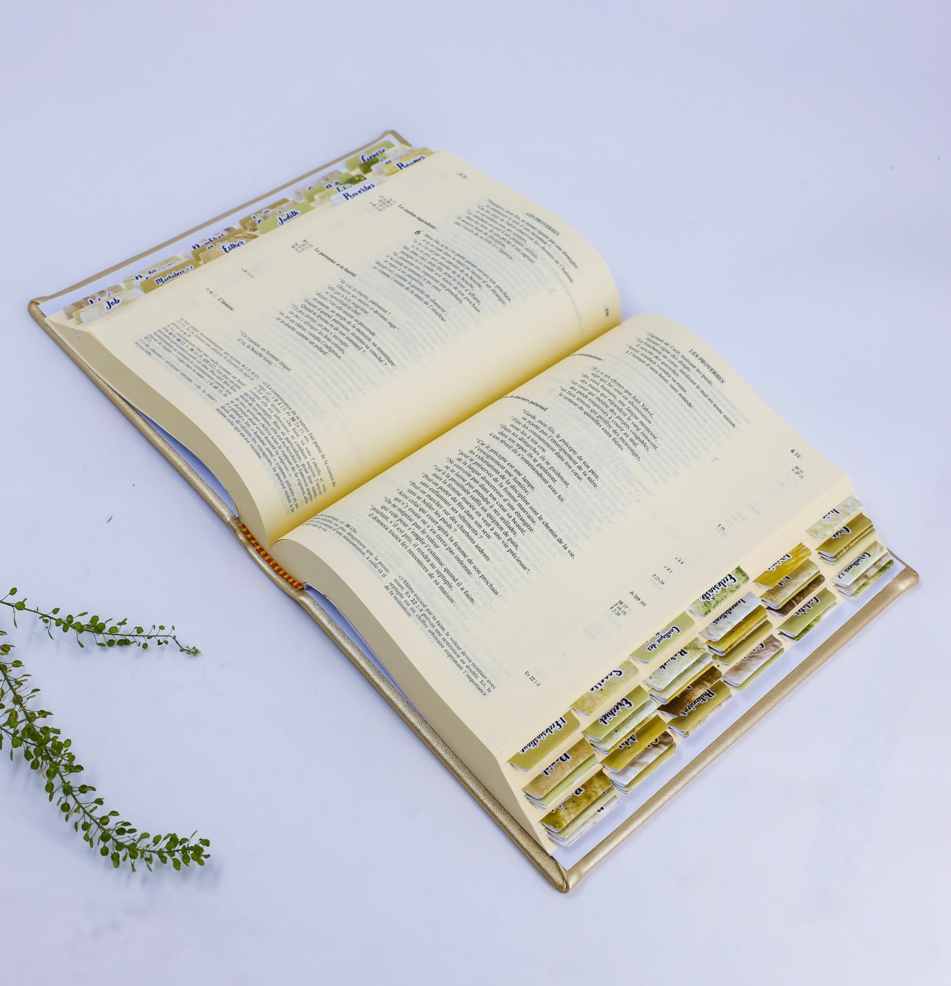Imitation Leather Bible