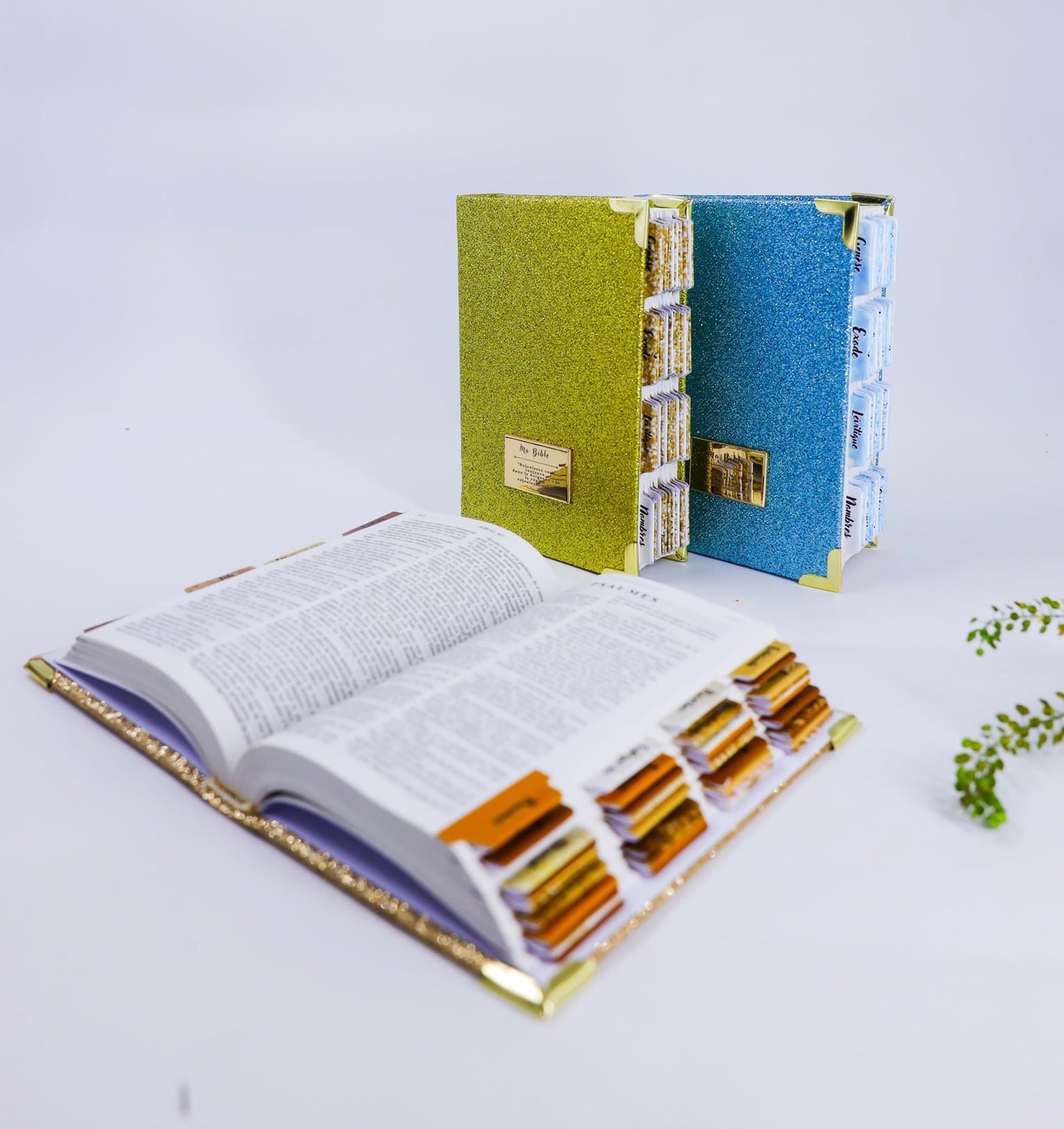 Volamena Model Bible