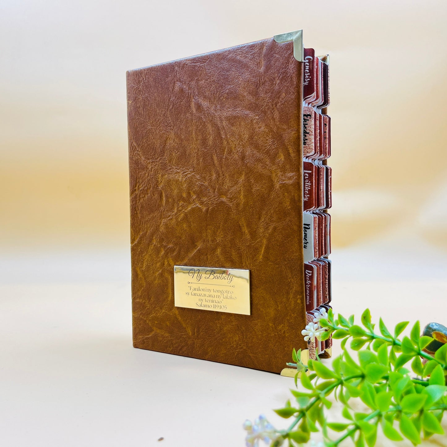 Volamena Model Bible