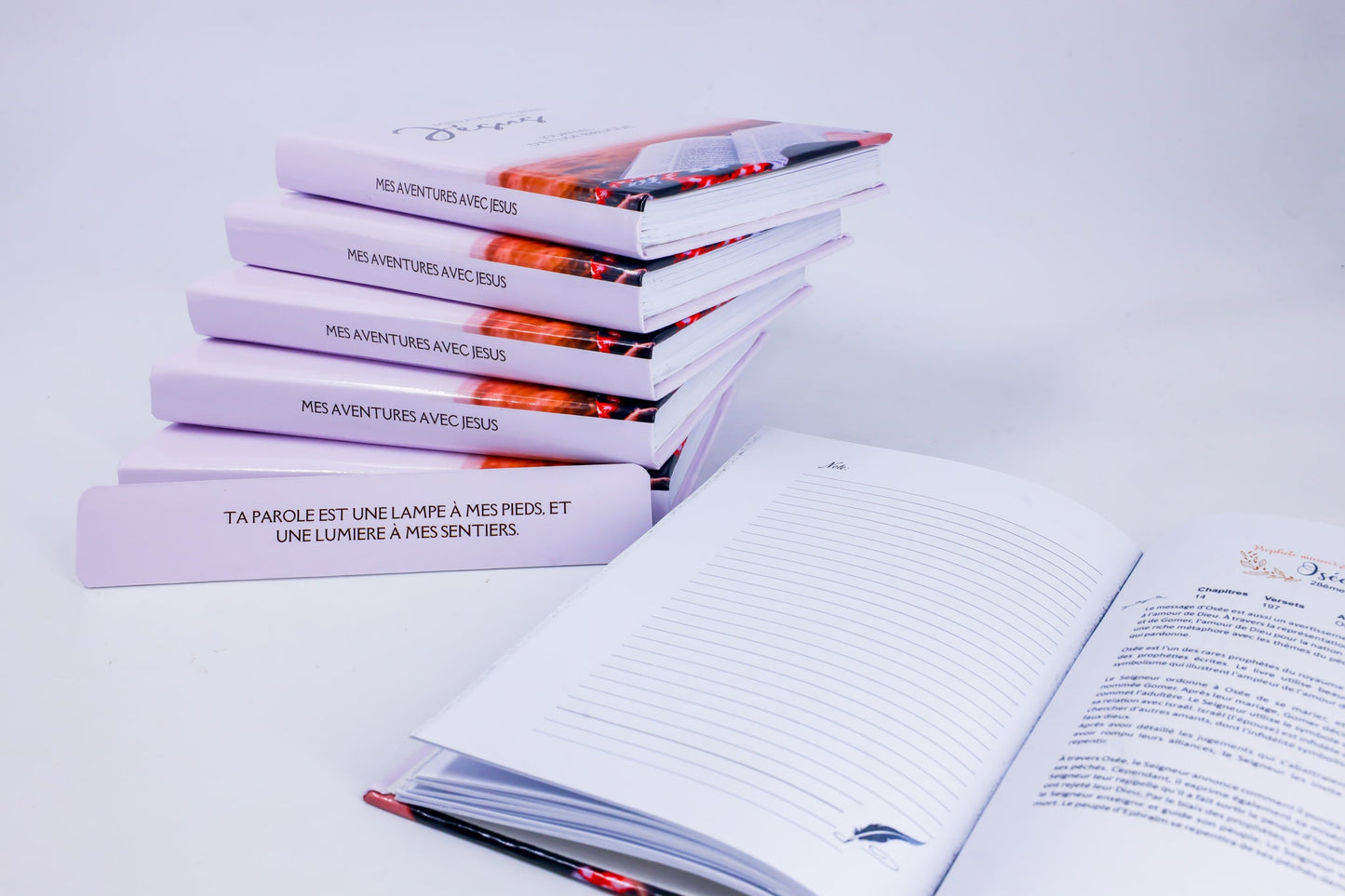 Bible Study Journal